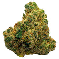 Northern Lights