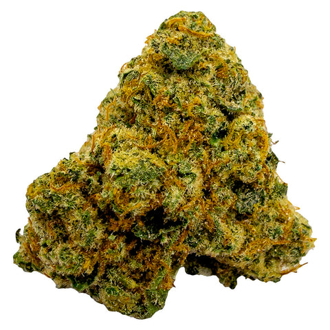 Photo Durban Poison