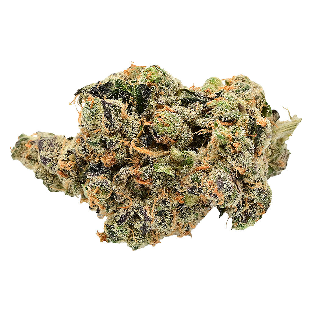 Burner Phone Special - 