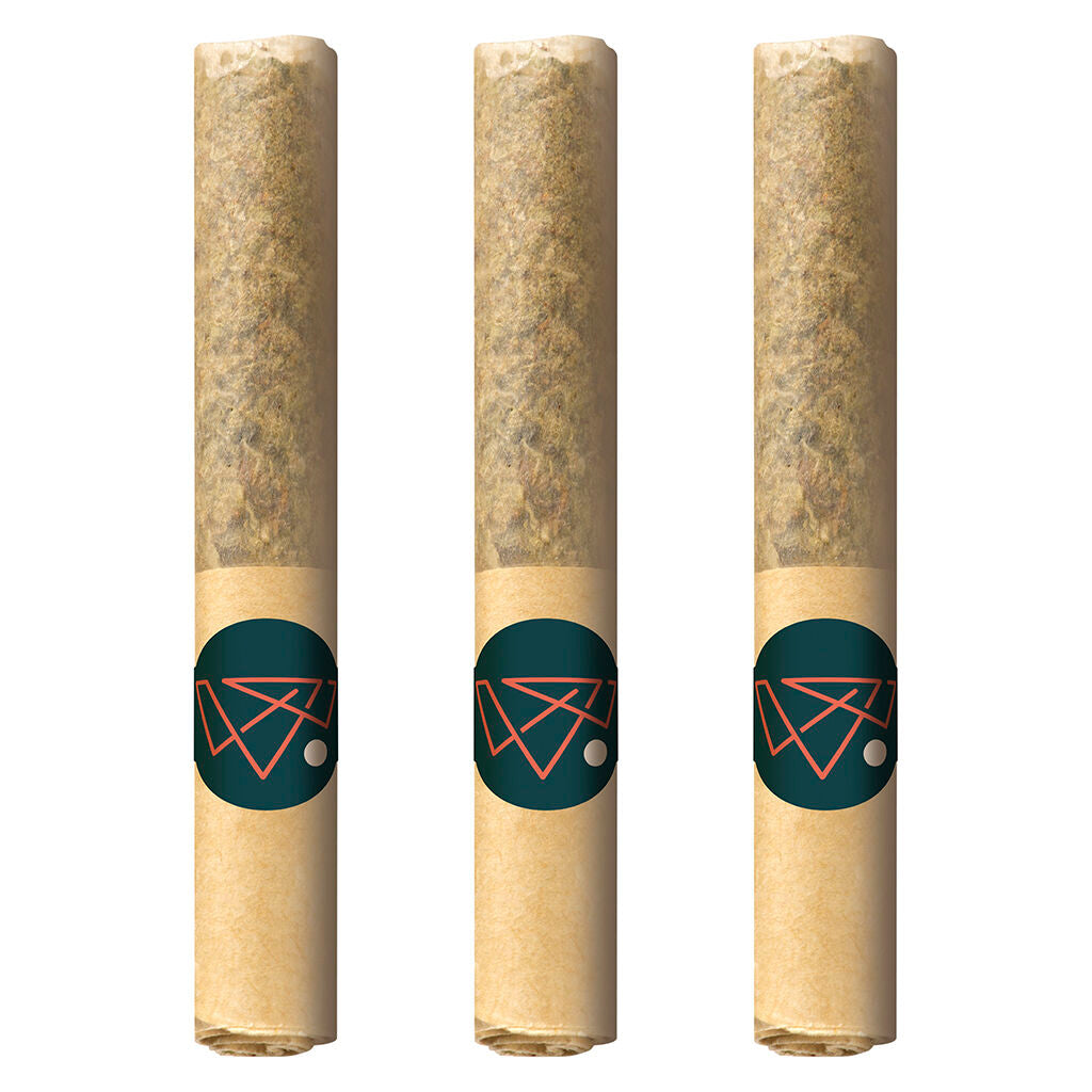 Pure Moroccan Hash Pre-rolls
