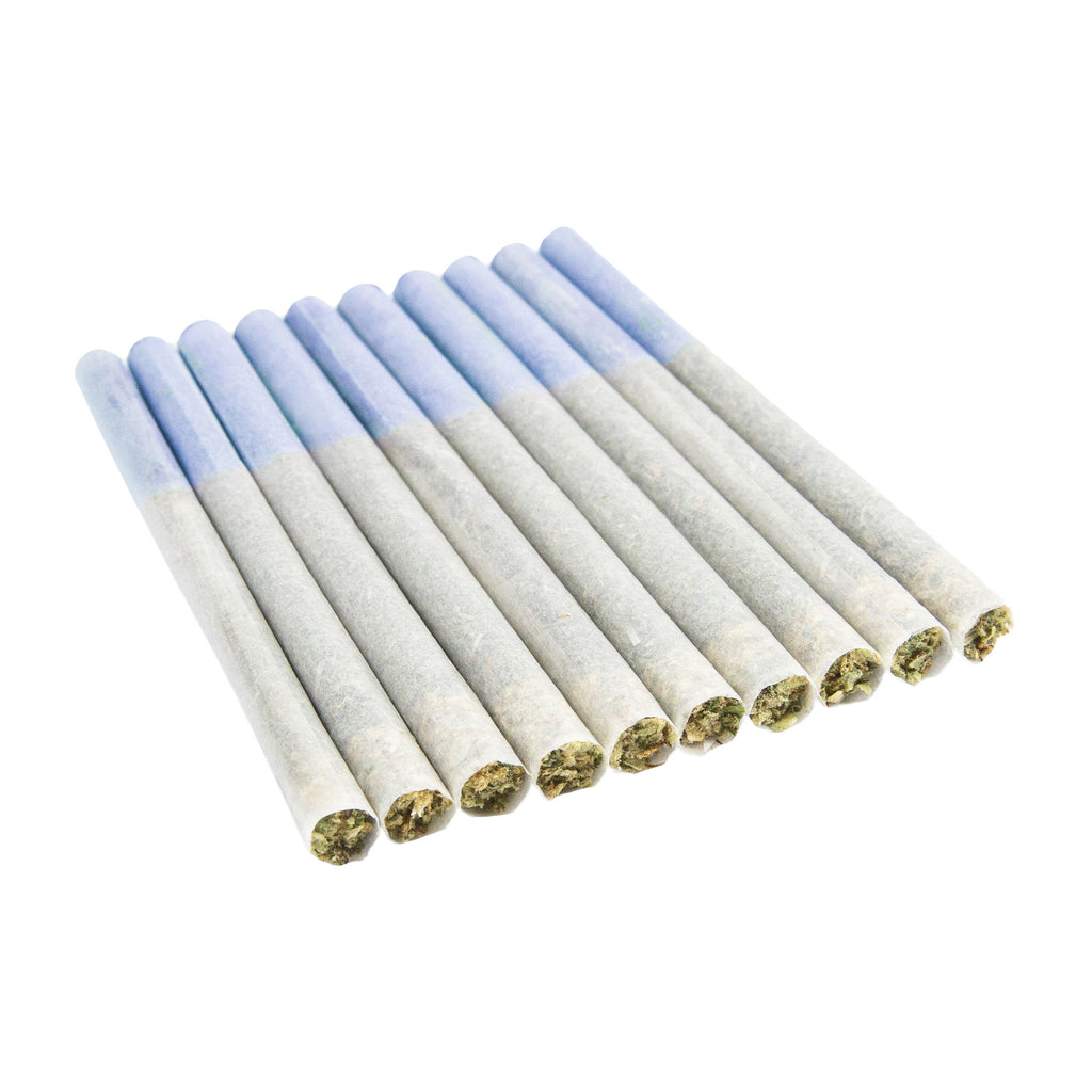 Blue Pre-Roll - 