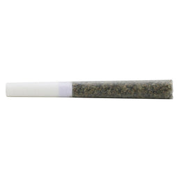 Photo Smoothies Carbon Tip Pre-Roll (Indica)