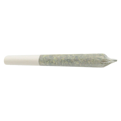 Photo Tropical Milkshake Pre-roll
