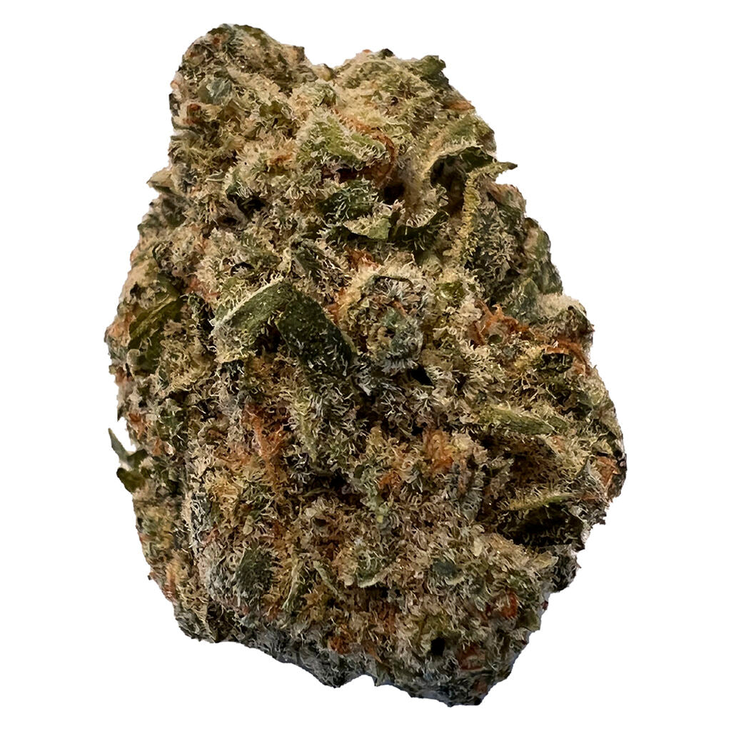 BC Purple Kush - 