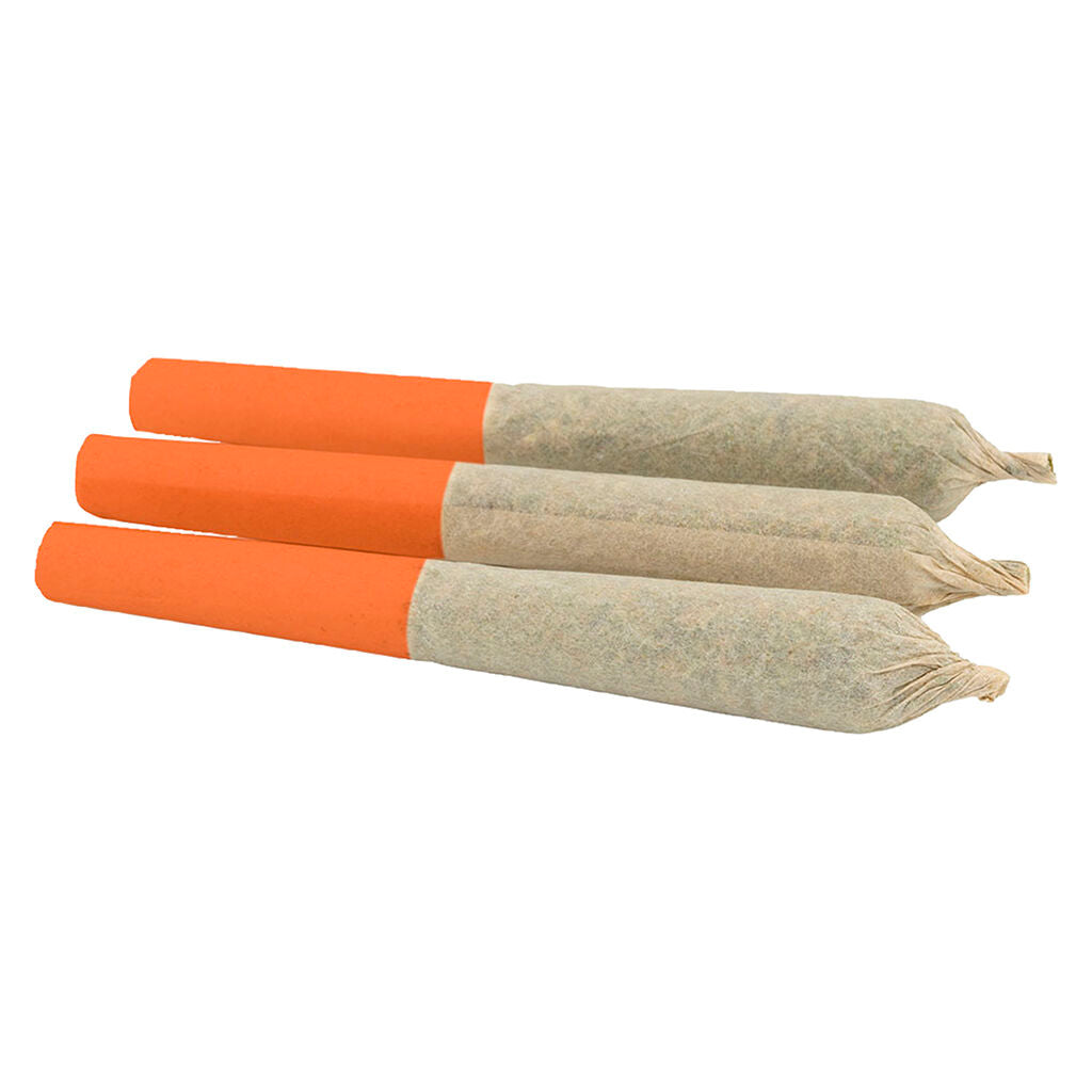 Neon Fruit Frenzy Infused Pre-Roll - 