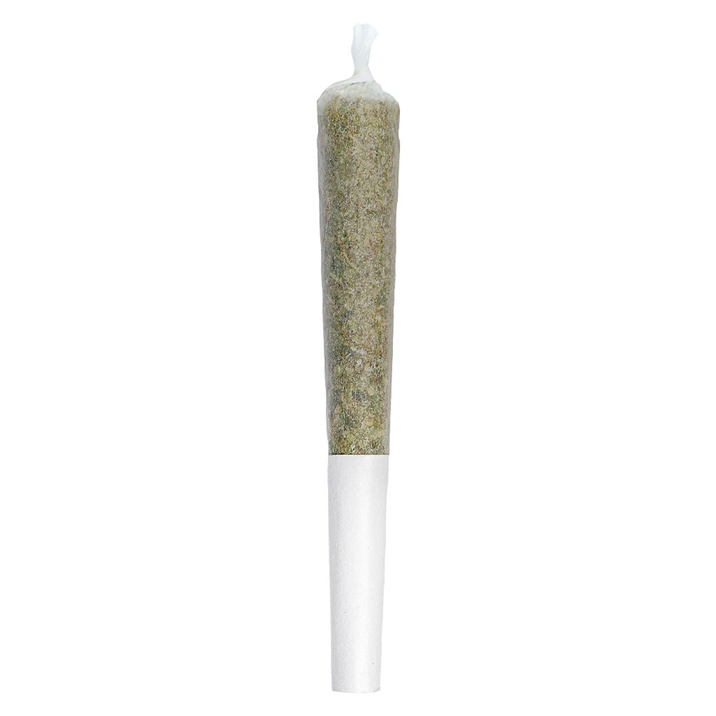 Jumbo Jar of Js BC Purple Kush Pre-Roll - 