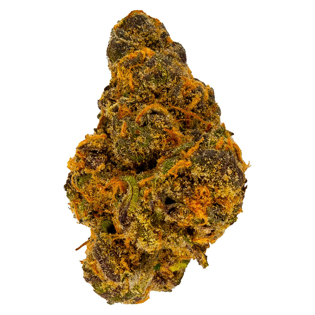 Purple Mendocino - 