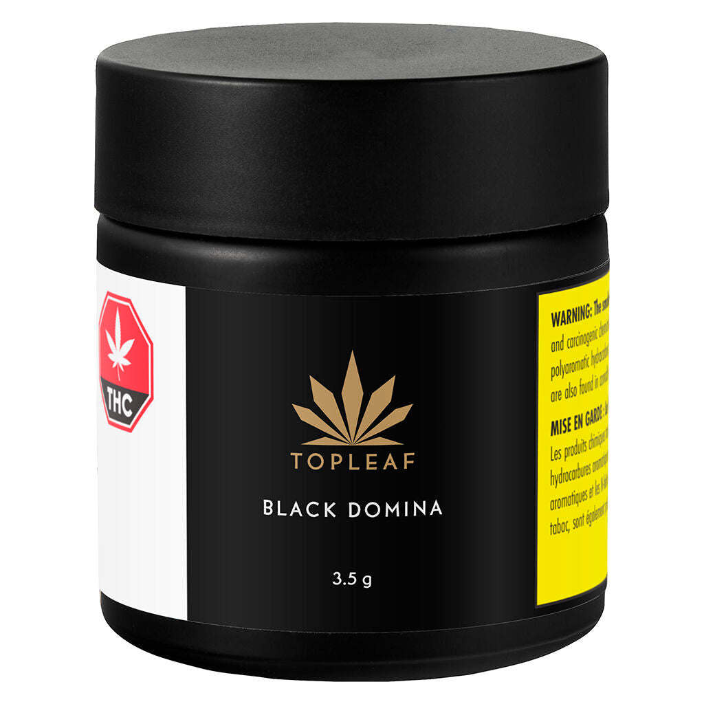 Black Domina - 