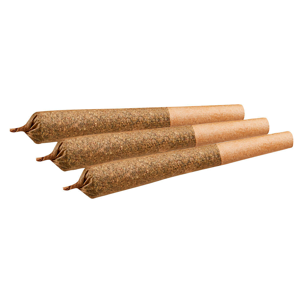 Black Domina Pre-Roll - 