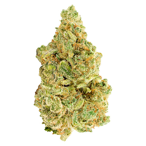 Photo White Widow