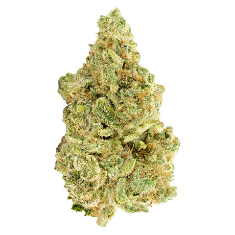 Photo White Widow
