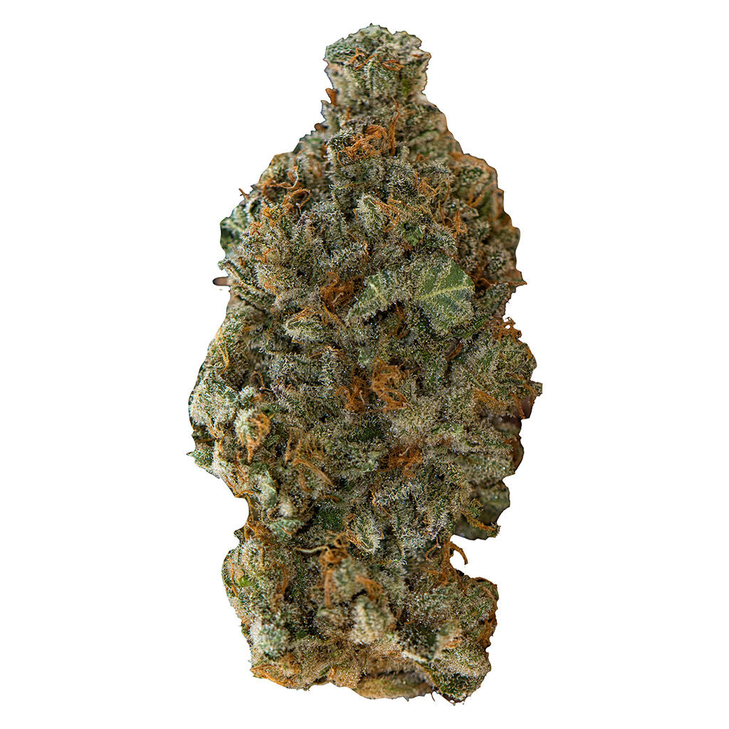 Girl Scout Cookies - 