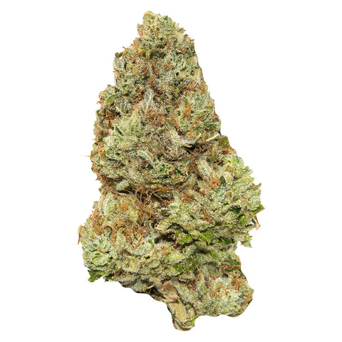 Photo Golden Tangie