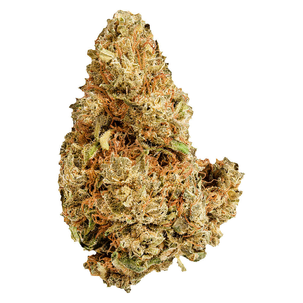 Purple Afghani - 