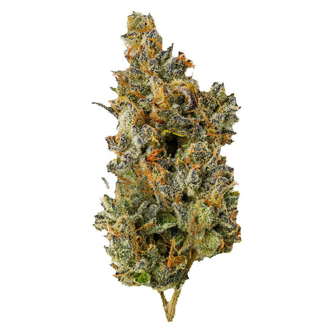 Photo Nakatomi Plaza