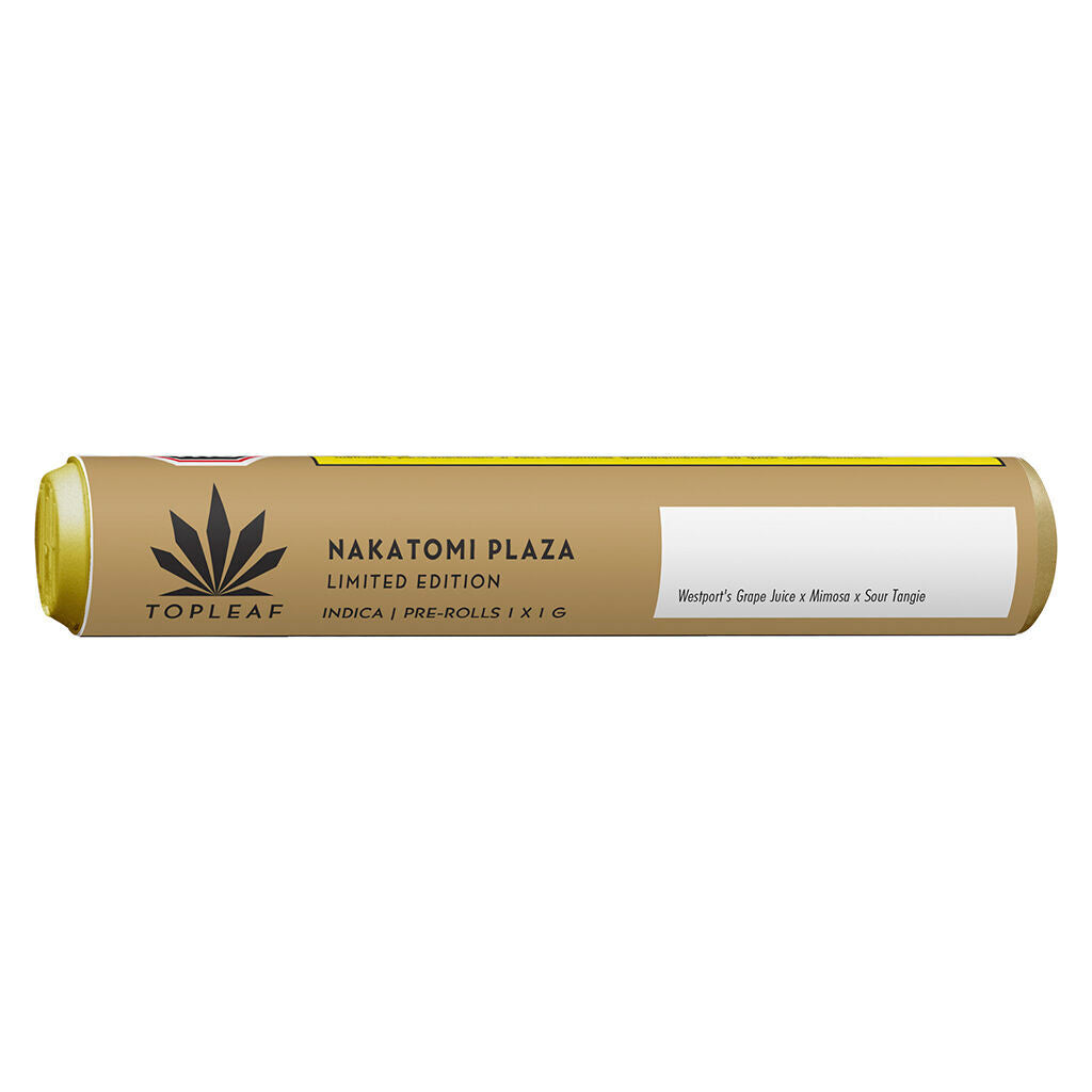 Nakatomi Plaza Pre-Roll - 