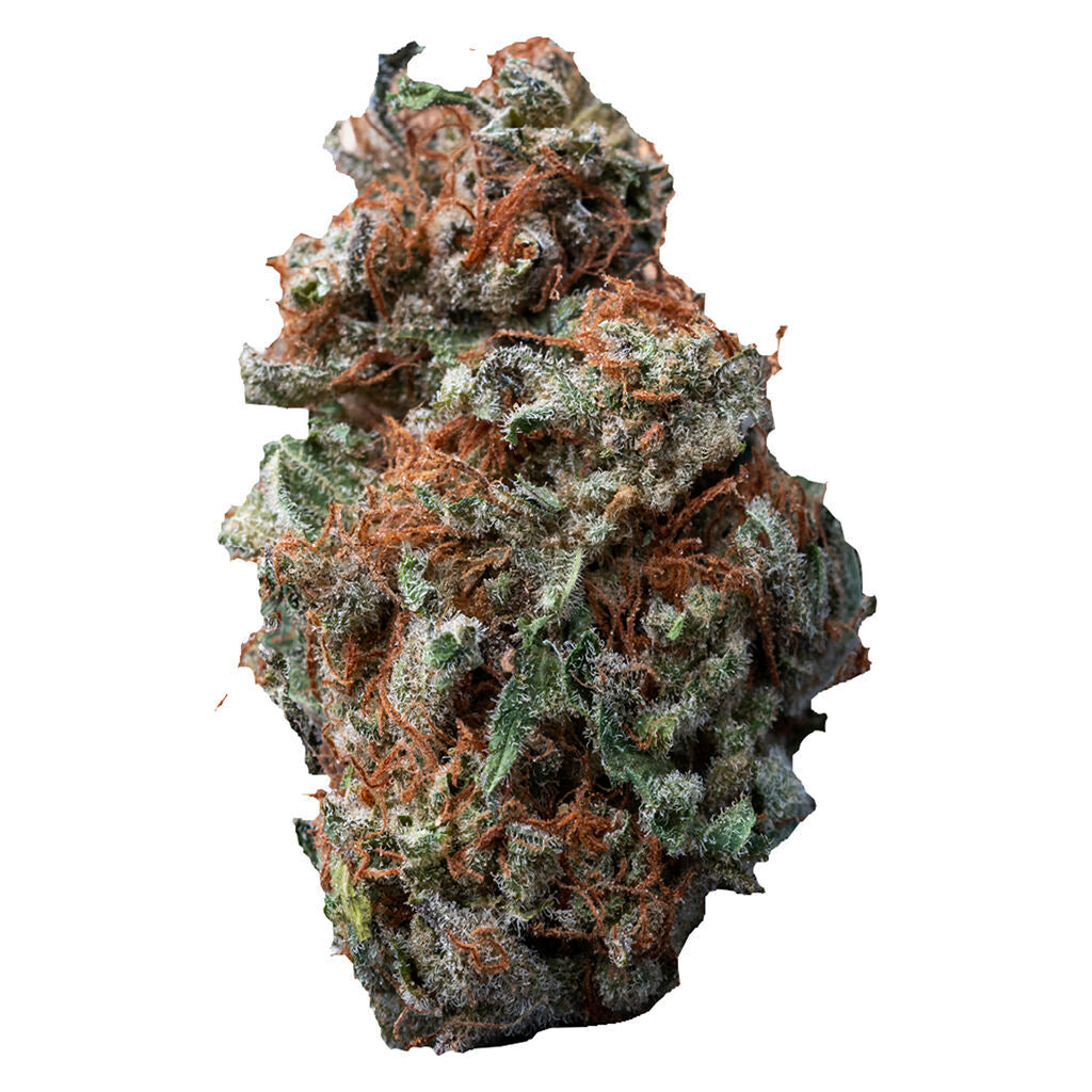 Sasquatch Sap - 