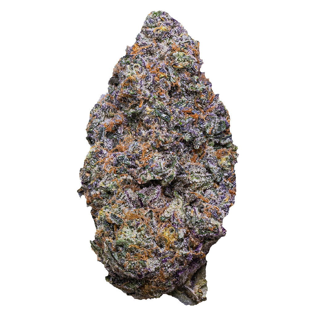 Bisco Banger - 