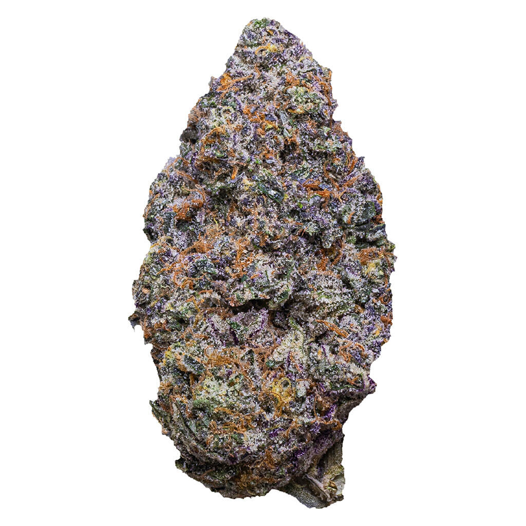 Bisco Banger - 