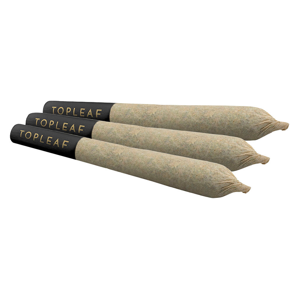 Préroulé Bisco Banger - 
