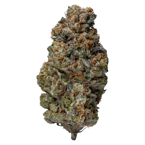 Photo Indica