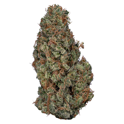 Photo Sativa