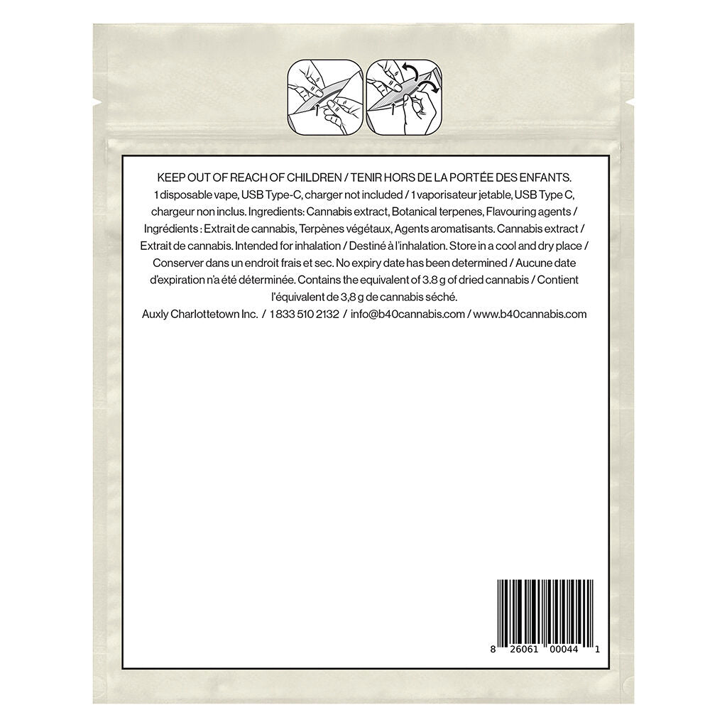 Watermelon All-In-One Vape - 