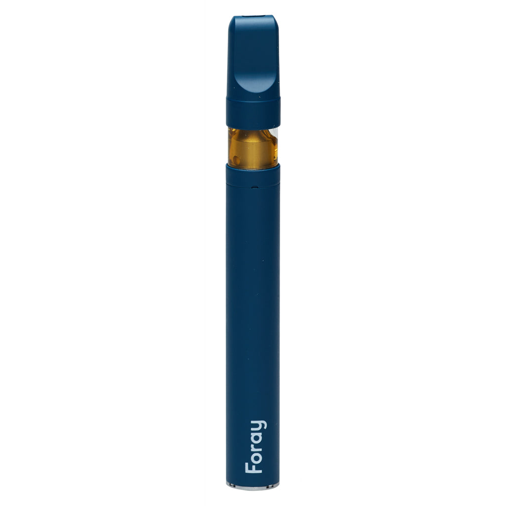 Blueberry GLTO CBN All in One Disposable Pen - 