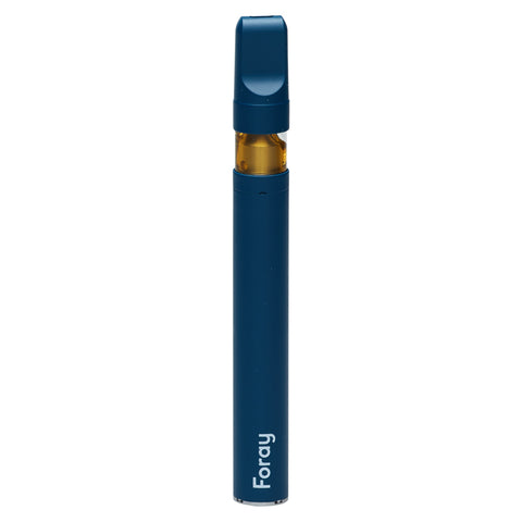 Photo Blueberry GLTO CBN All in One Disposable Pen