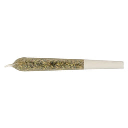 Photo Blend 14 Pre-Roll