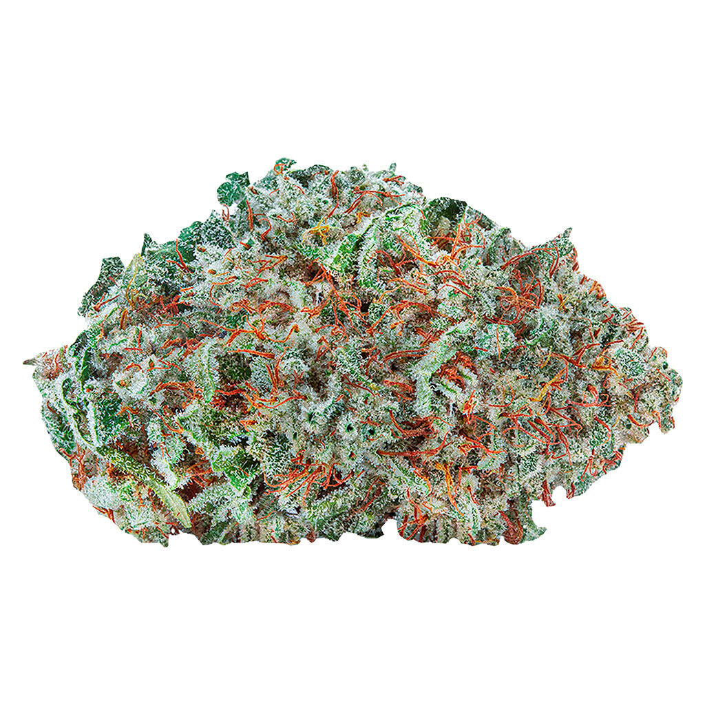 Amsterdam Sativa - 