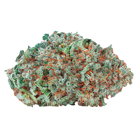 Photo Amsterdam Sativa
