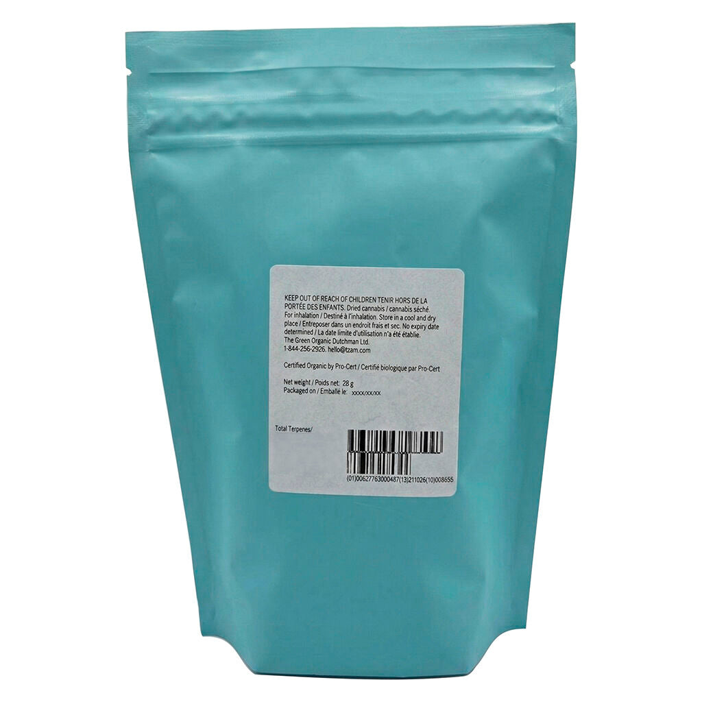 Rotterdam Indica - 