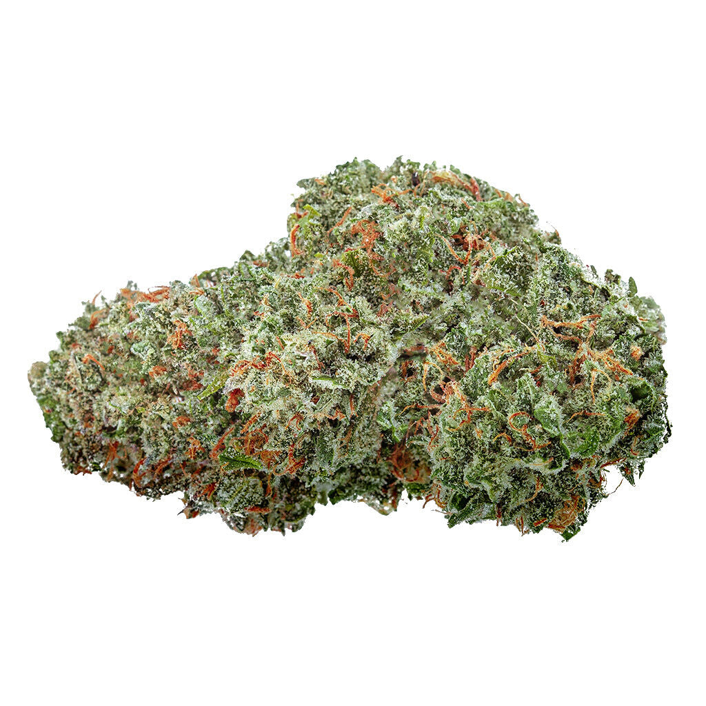 Amsterdam Sativa - 