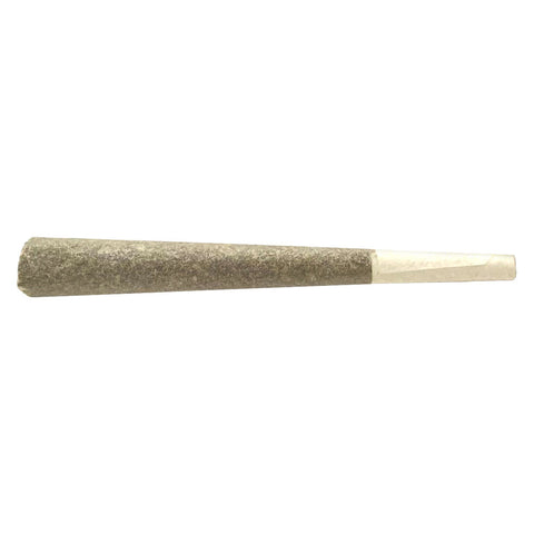 Photo Bacio Gelato Pre-Roll