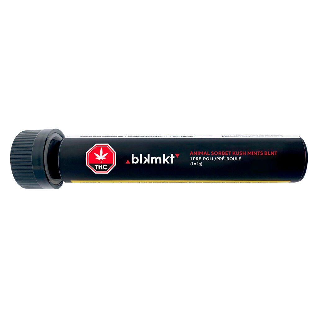 Animal Sorbet x Kush Mints BLNT Pre-Roll - 