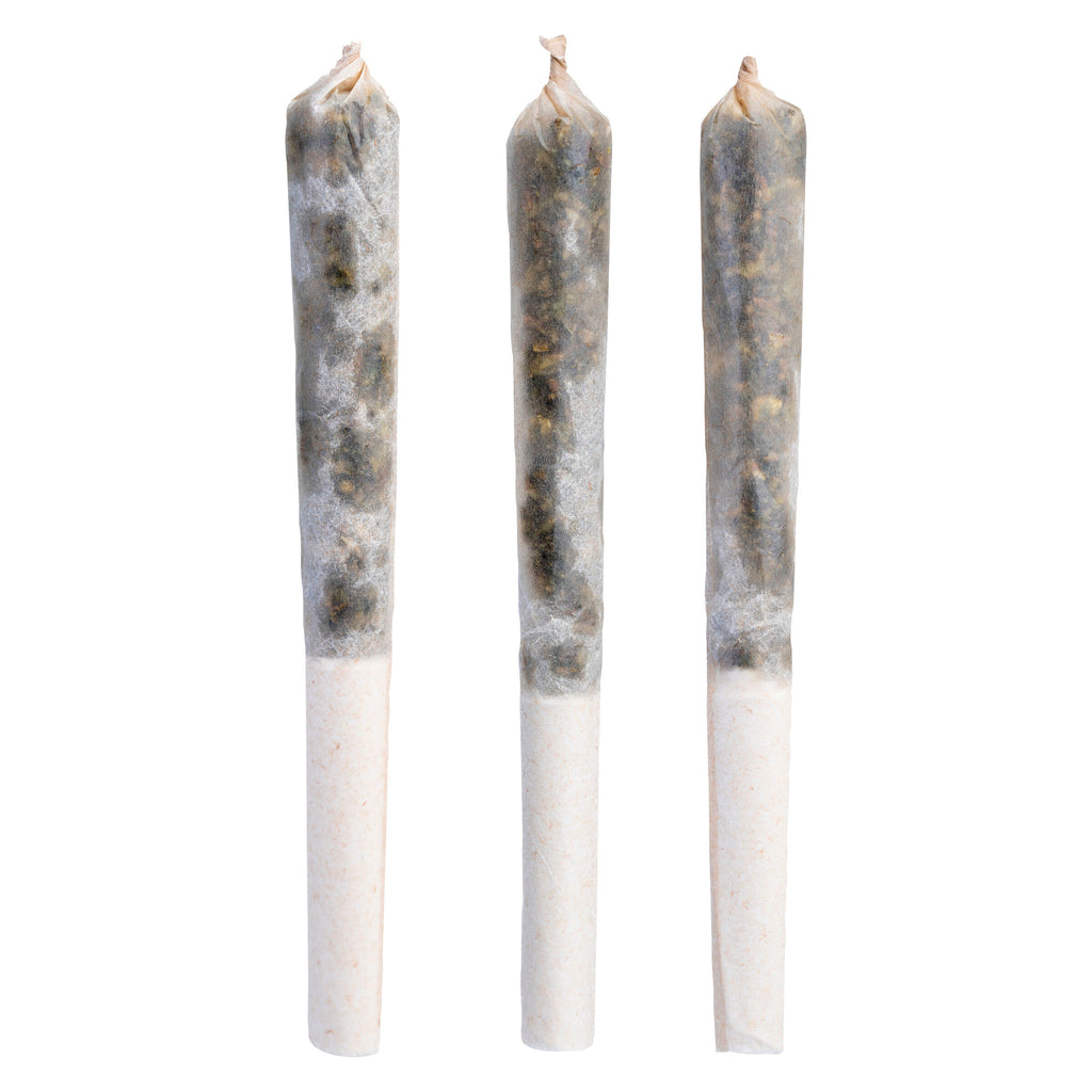 Electric Circus Infused Pre-Roll - 