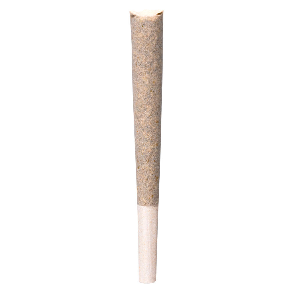 Rainbow P Pre-Roll