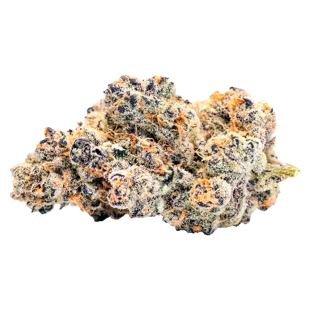 Exclusives Pheno #1 - 