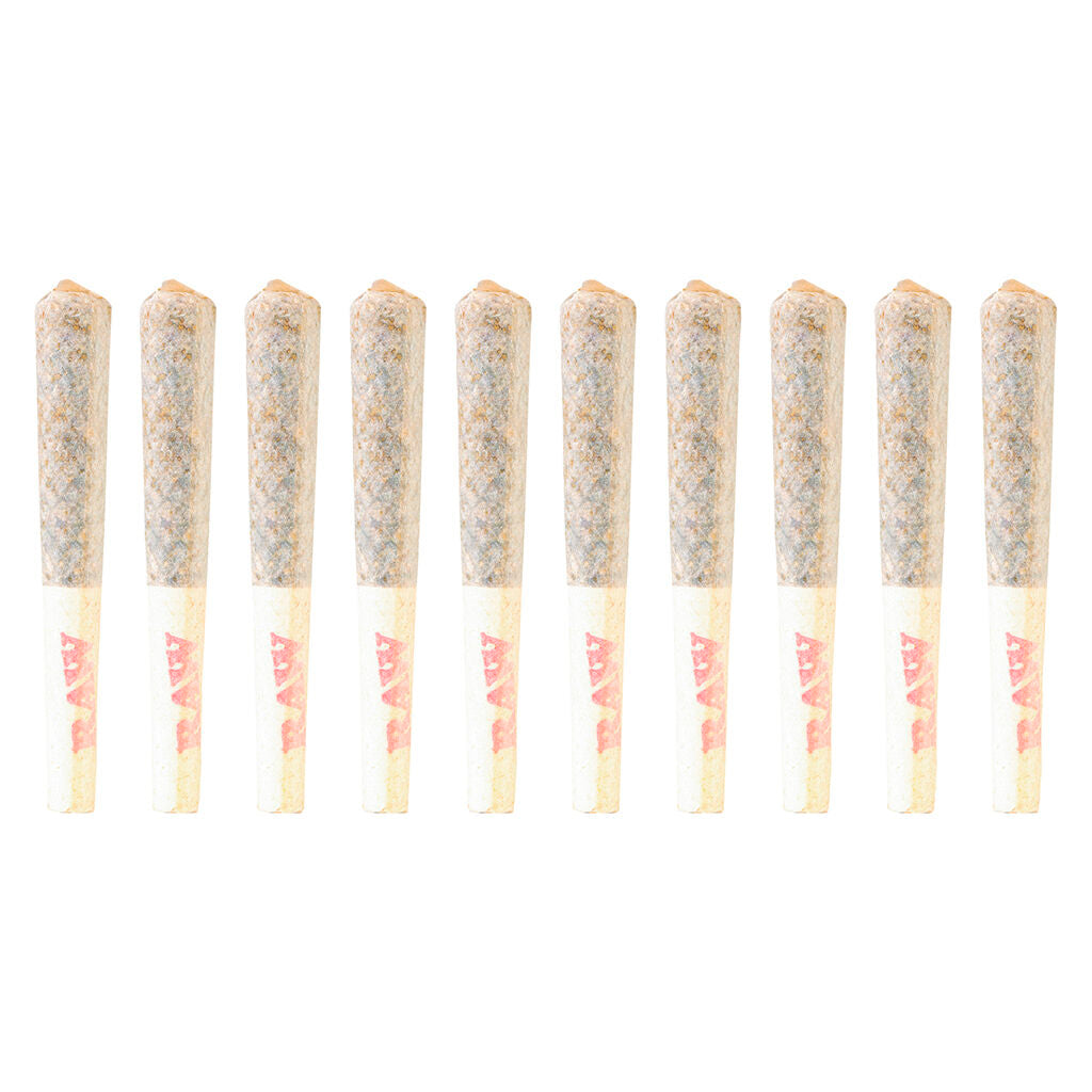 Rainbow P Pre-Roll - 