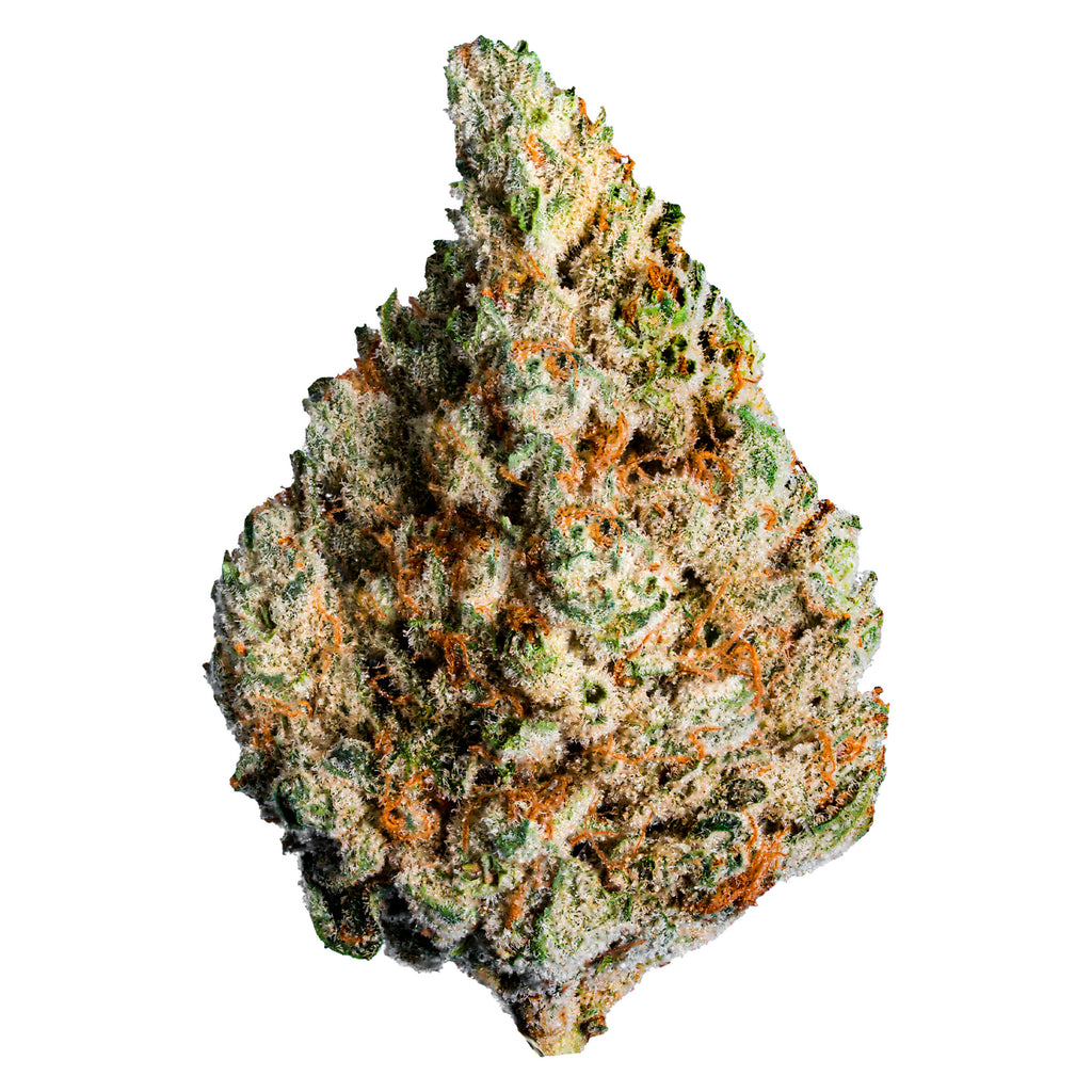 Keylime Kush - 