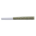 The grape Gatsby Pre-Roll