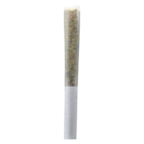 Photo Permanent Gusher Pre-Roll