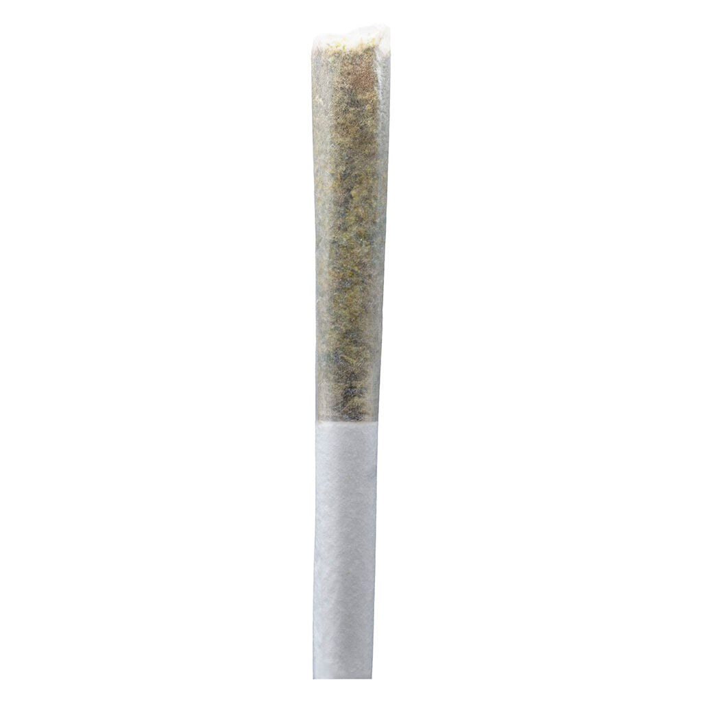 Permanent Gusher Pre-Roll - 