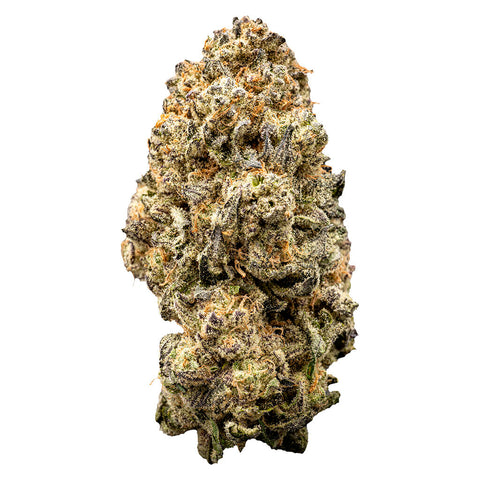 Photo Orange Slushie