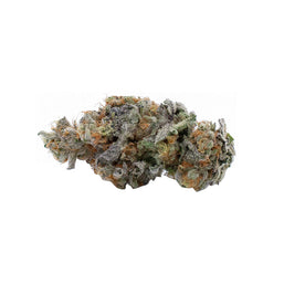 Photo Mango Sour