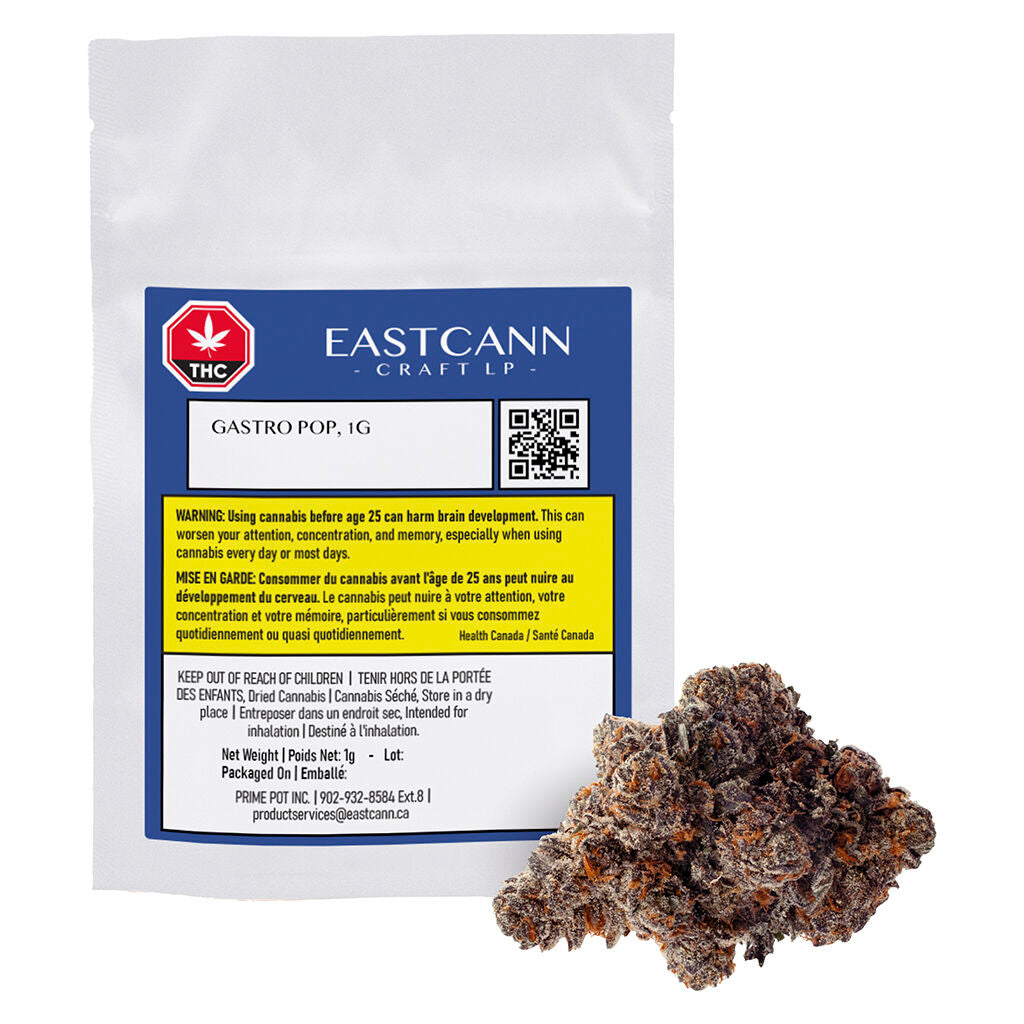 Gastro Pop - 