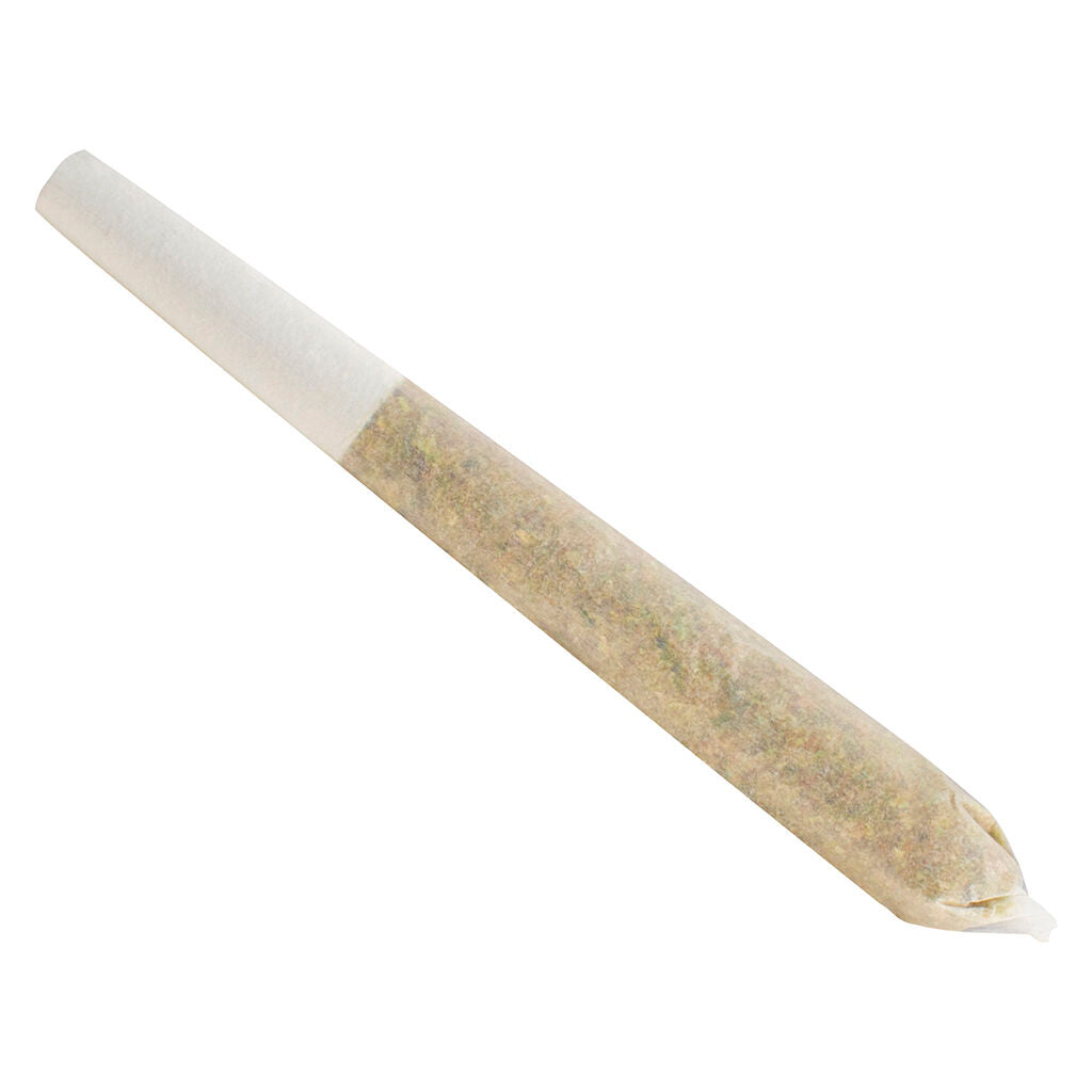 Permanent Marker Pre-Roll - 