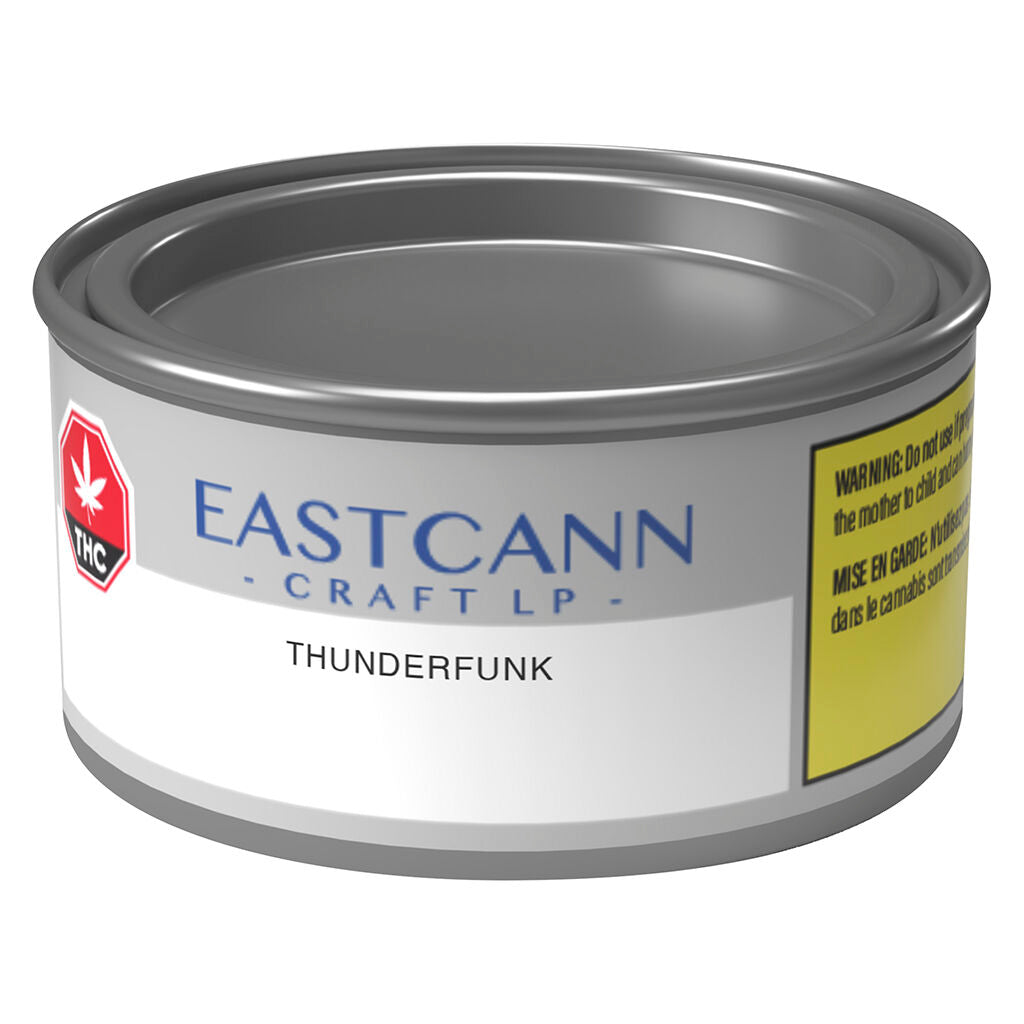 Thunderfunk - 
