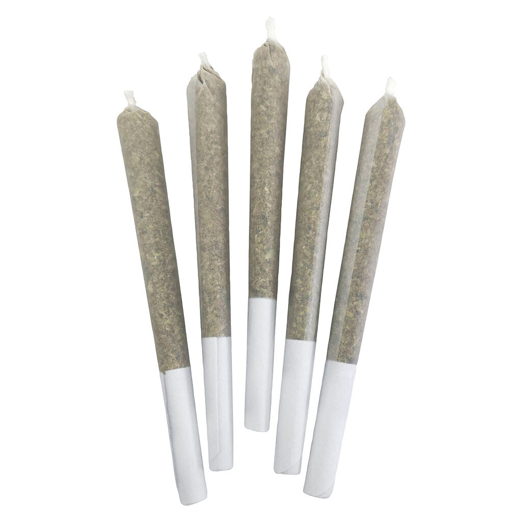 Blueberry Frost Pre-Roll